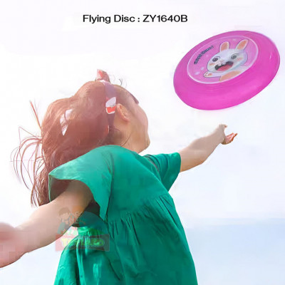 Flying Disc : ZY1640B